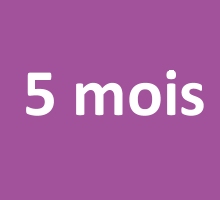 5 mois