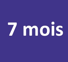 7 mois