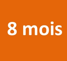 8 mois