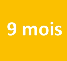 9 mois